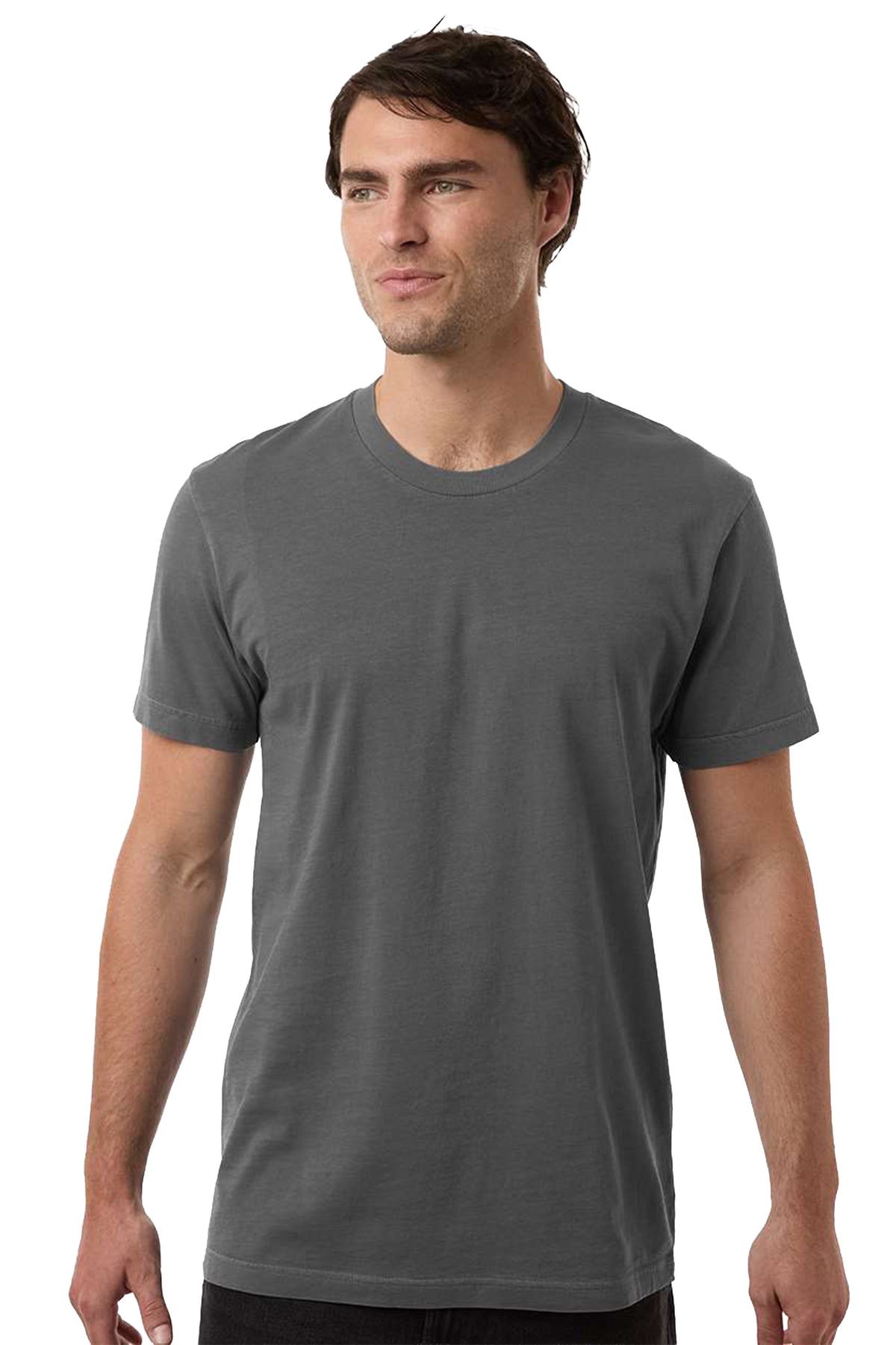 Independent Trading Co. Premium T-Shirt – PRM180PT