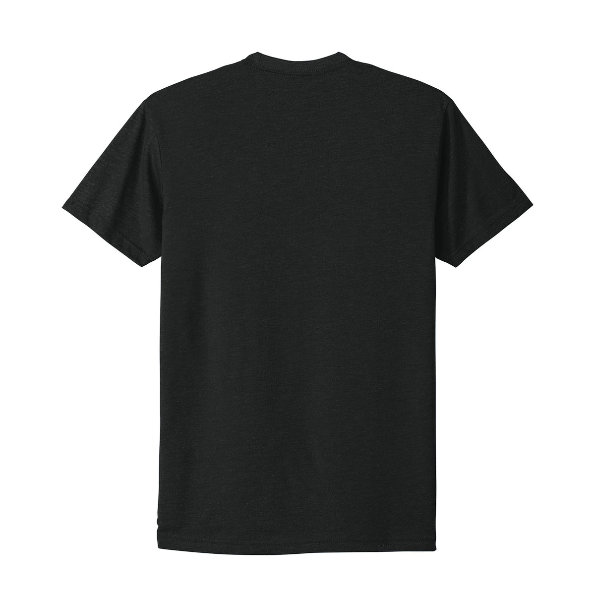 Next Level 6210 CVC T-shirt in Black, back view back-view variant-black